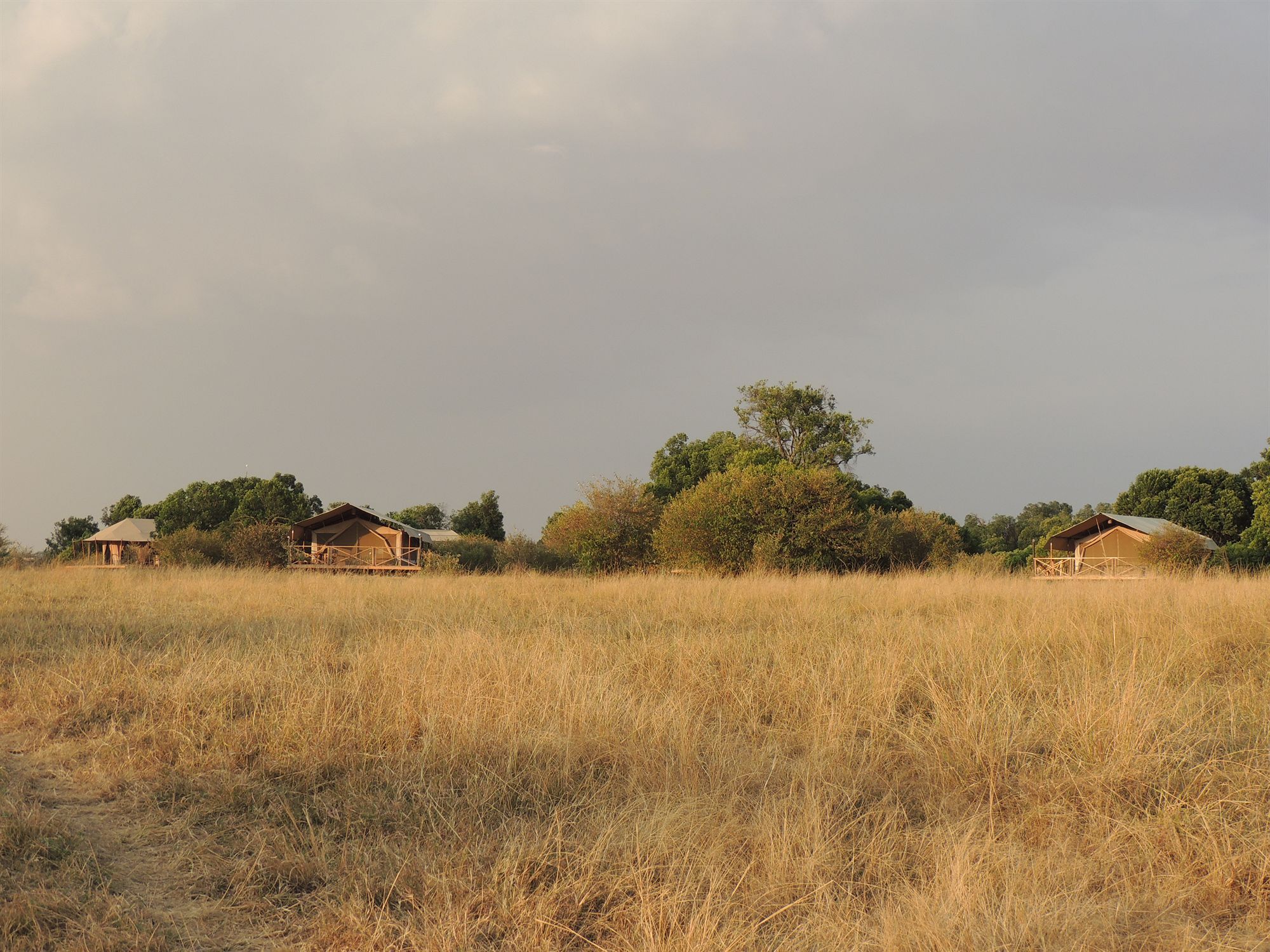 Loyk Mara Luxury Camp Hotel Maasai Mara Buitenkant foto